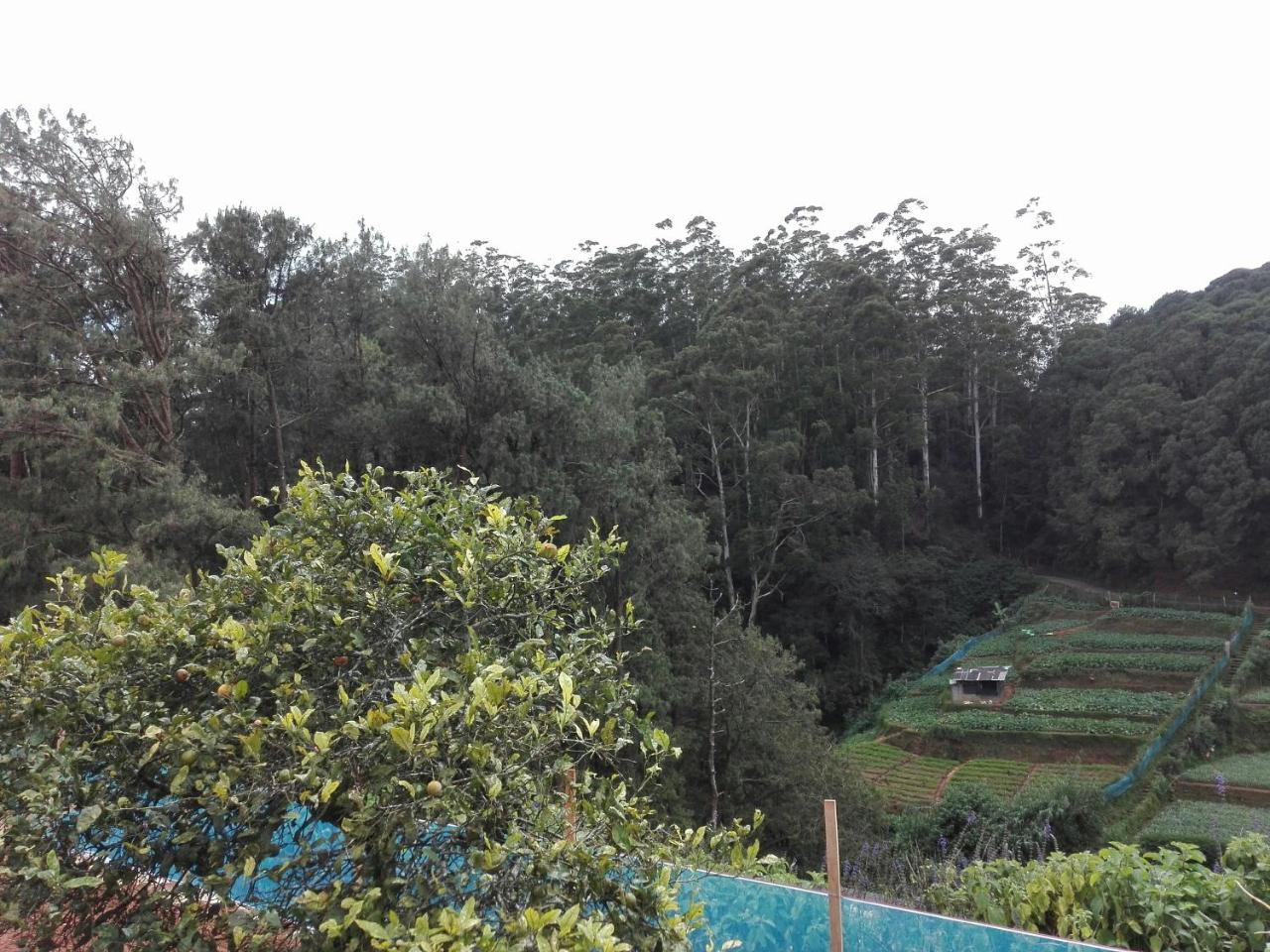 Keshiya Holiday Home Nuwara Eliya Exteriör bild